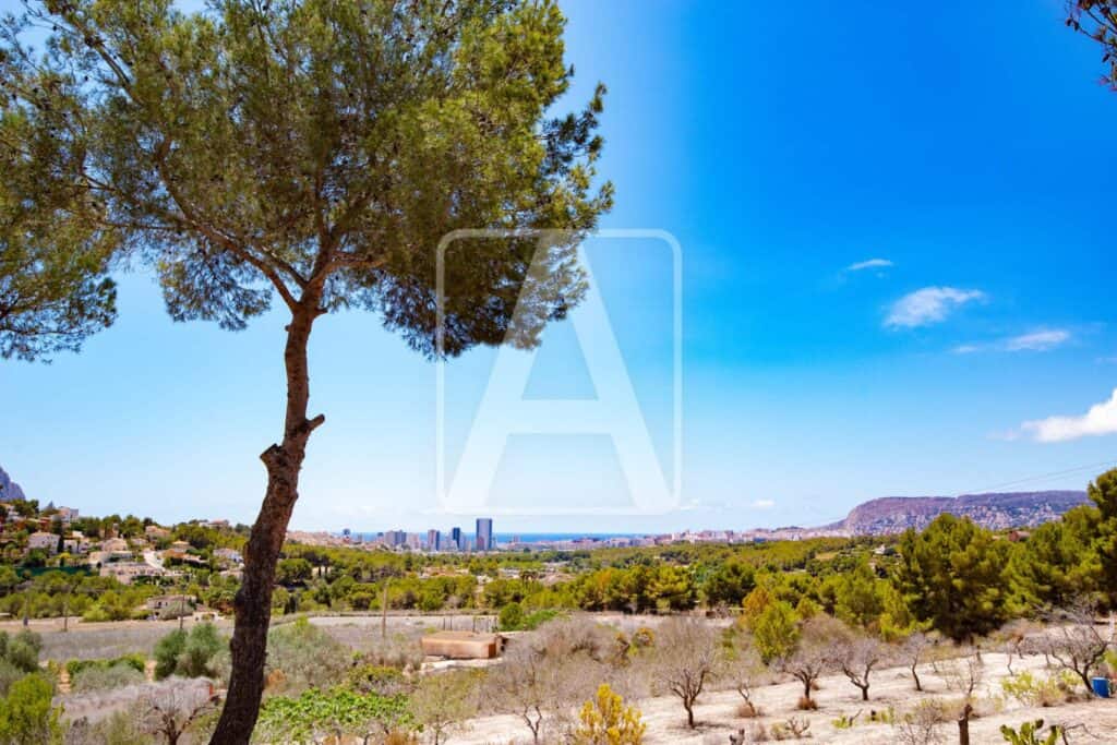 plot for sale in Calpe