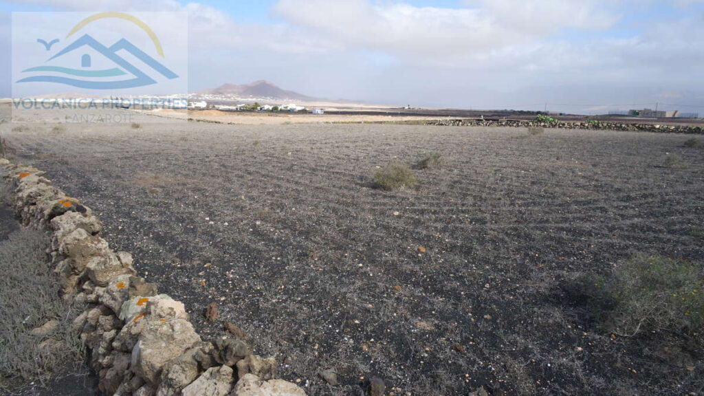 Plot for sale in Teguise