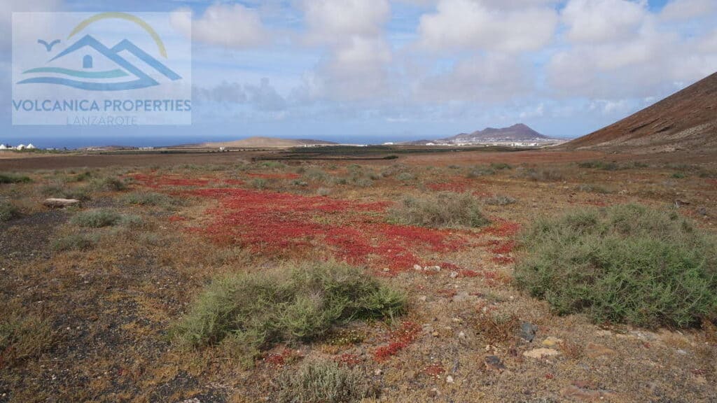 Plot for sale in Tinajo