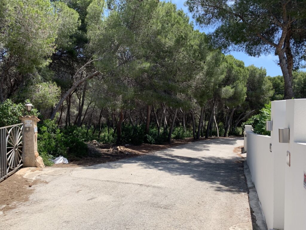  Alicante