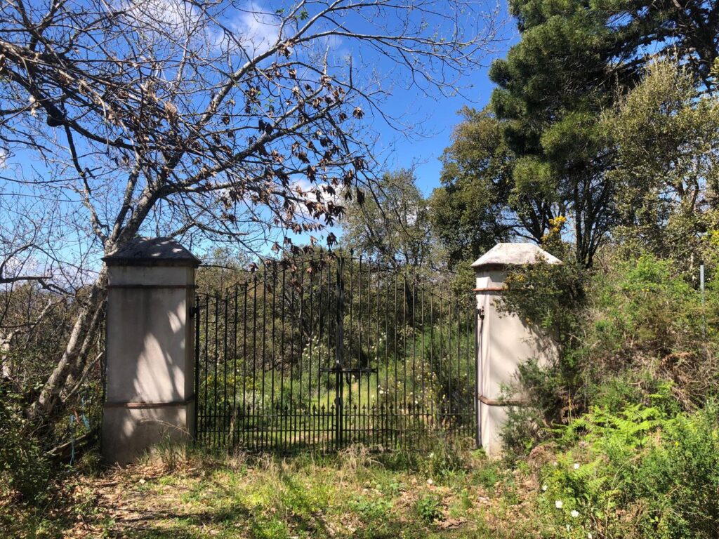 plot for sale in gaucin