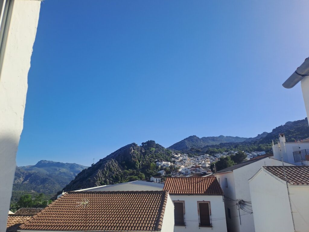  malaga