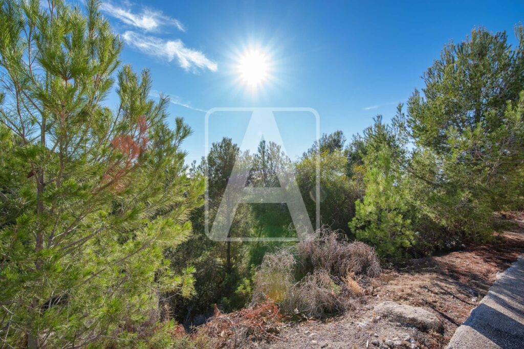  Alicante