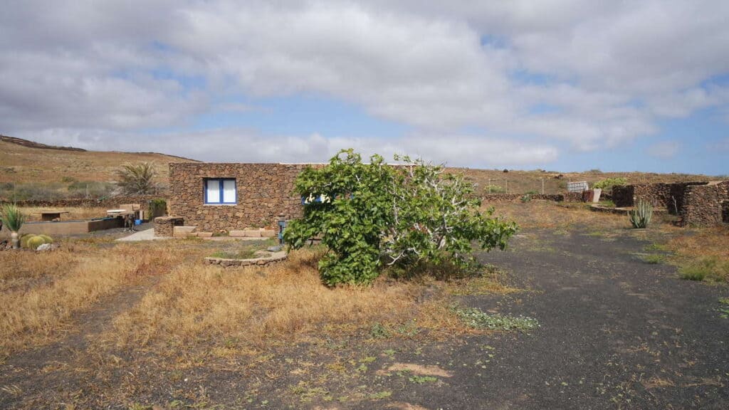  Las Palmas