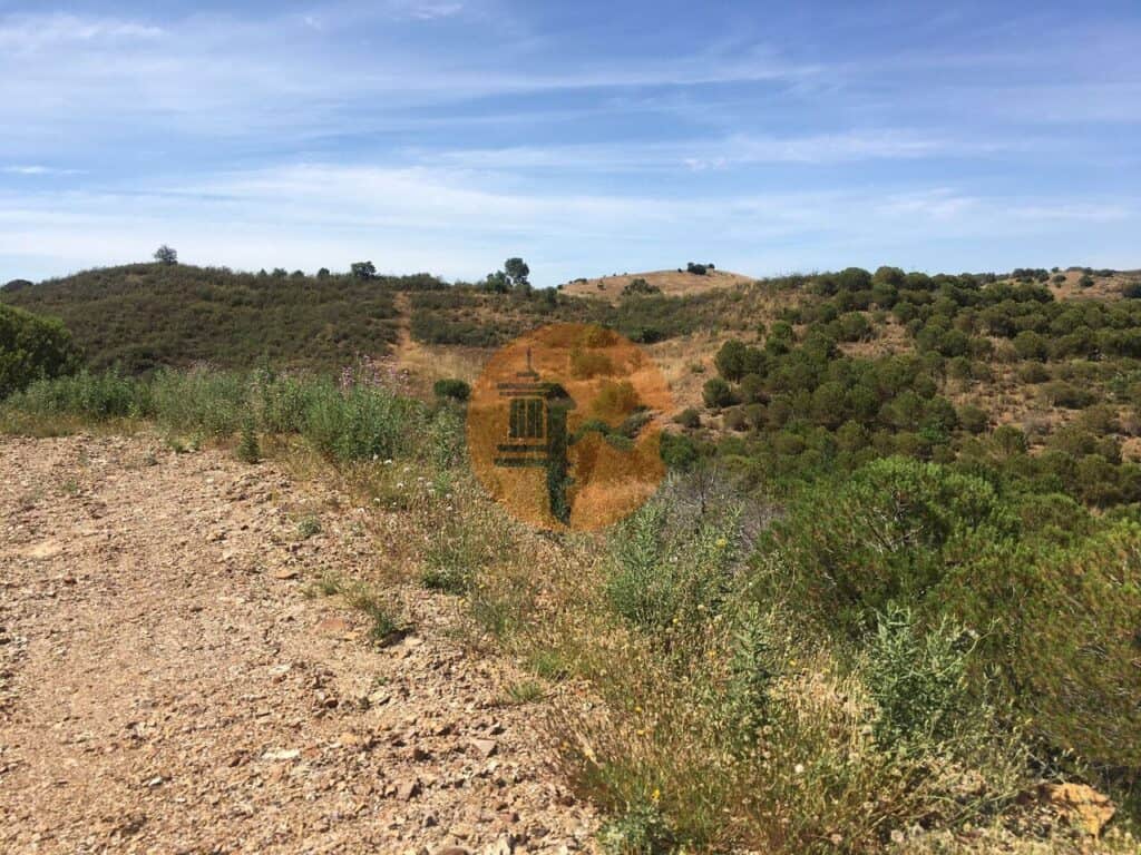 plot for Sale in Pisa Barro de Cima