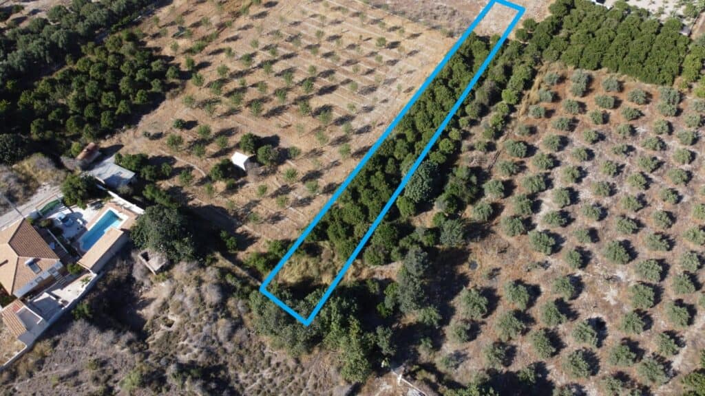 Plot for Sale in Cantoria