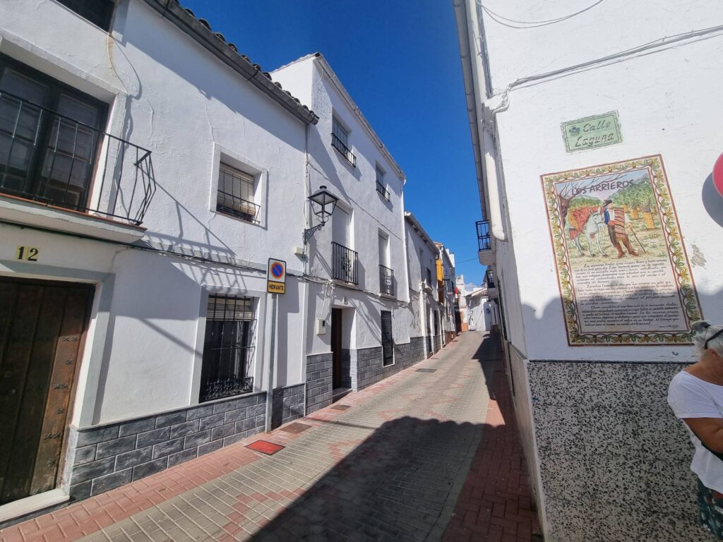 Town House for sale in cortes de la frontera