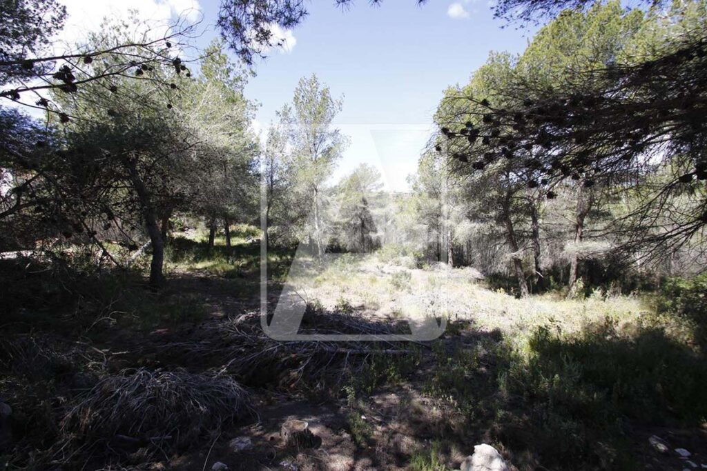 plot for sale in Moraira