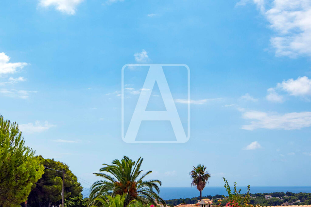  Alicante