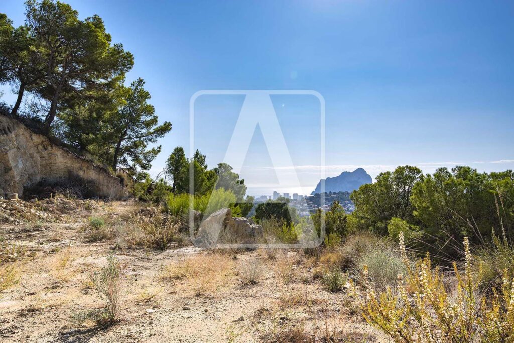  Alicante