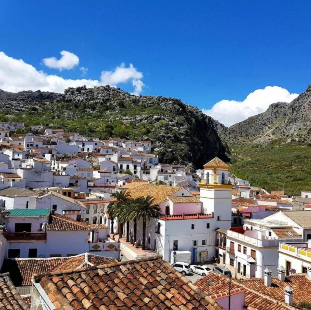  malaga
