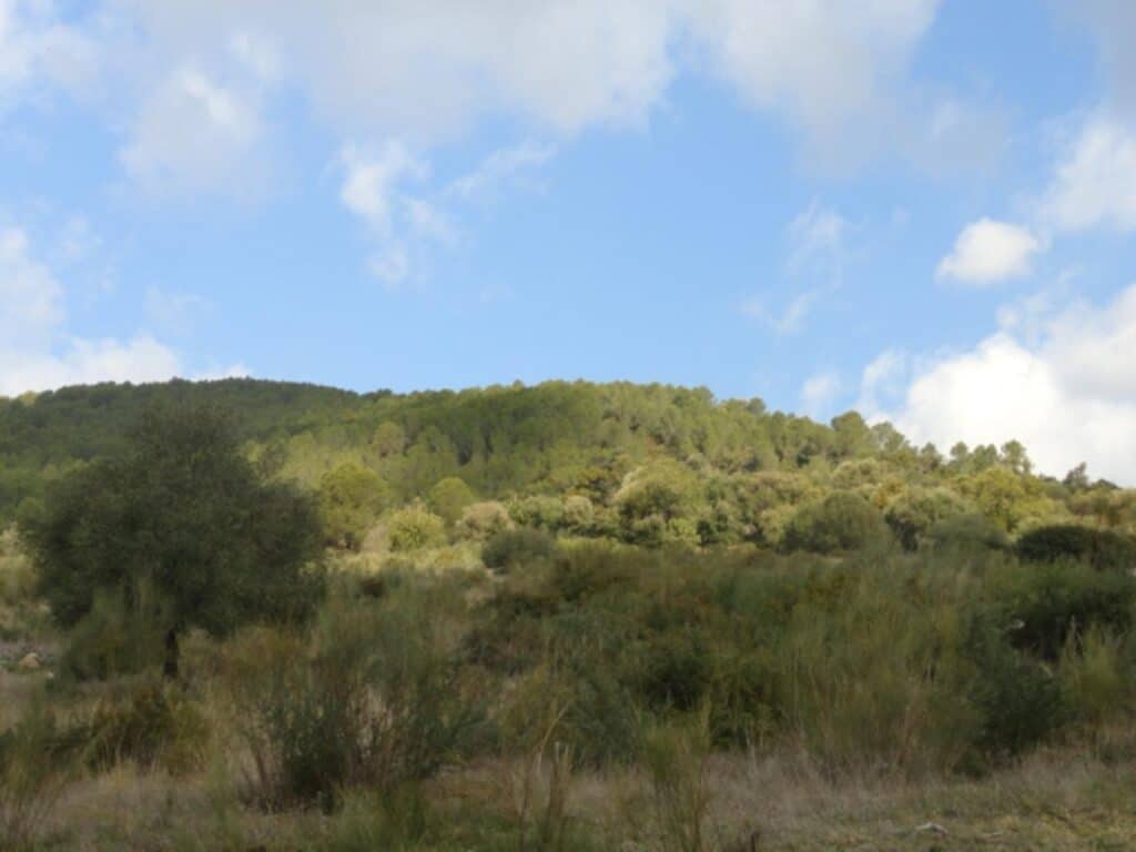 Country House for sale in Gaucin