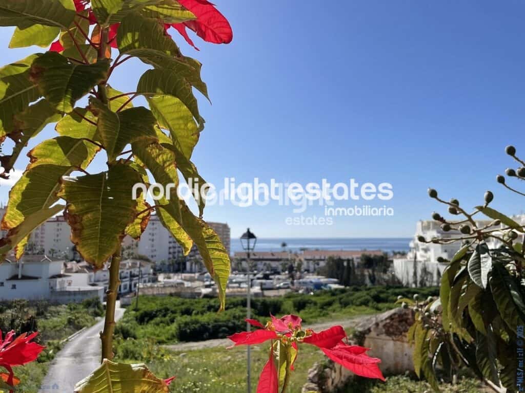  Malaga