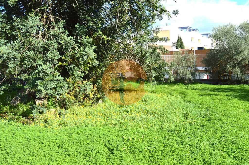 plot for Sale in Tavira