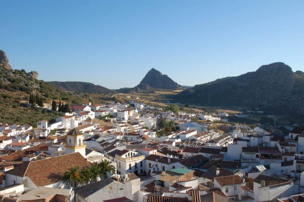  malaga