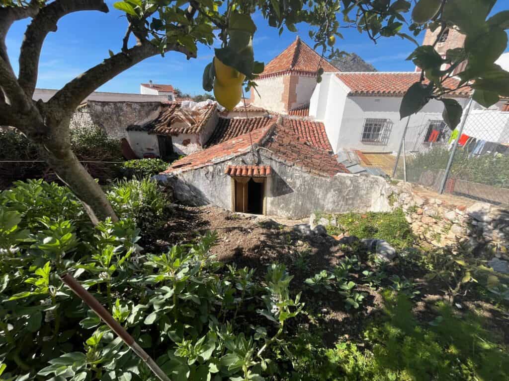  malaga