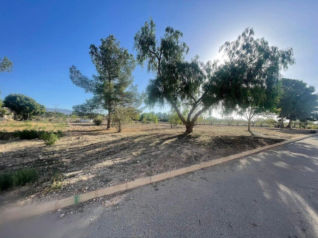 Plot for sale in Pinoso