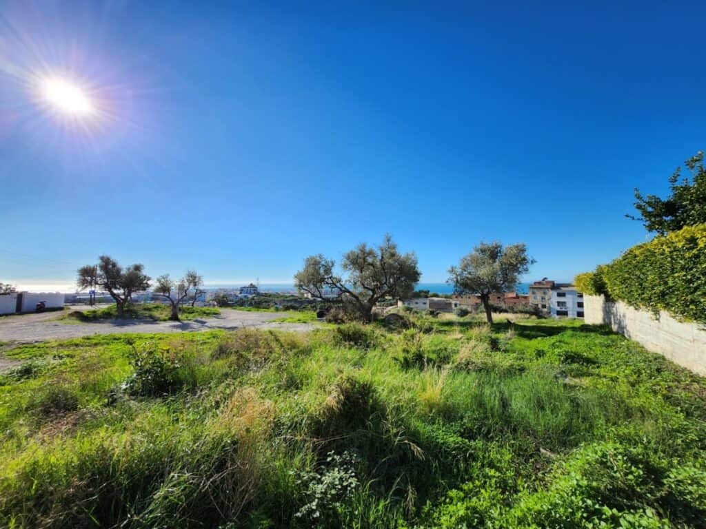  málaga