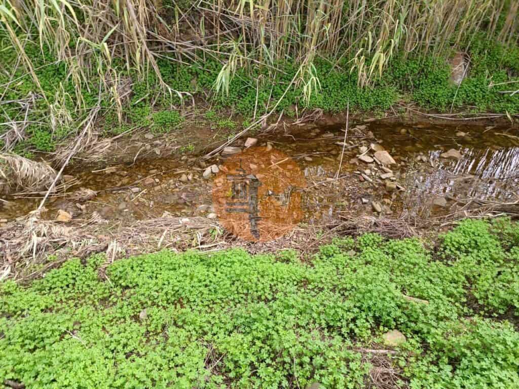 plot for Sale in Pisa Barro de Cima