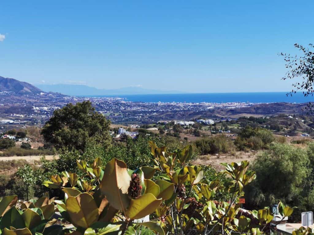  malaga