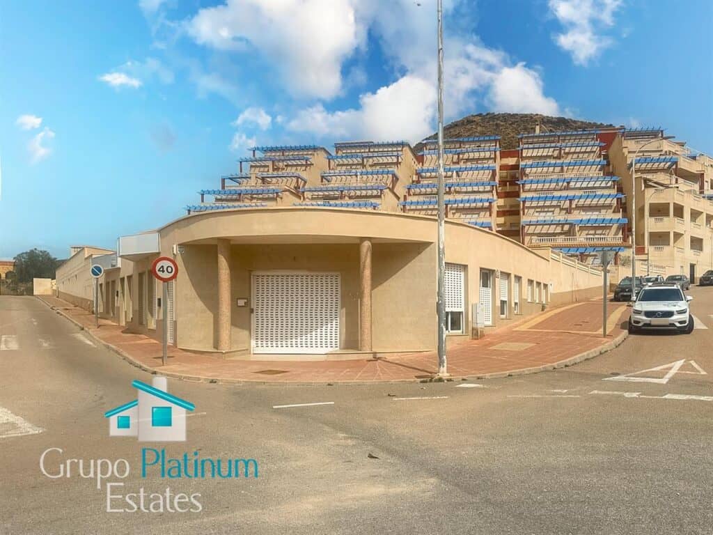 Commercial for month in SAN JUAN DE LOS TERREROS