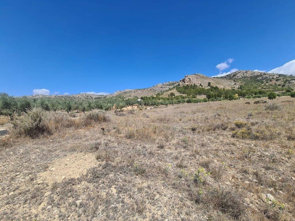 Plot for sale in Sax