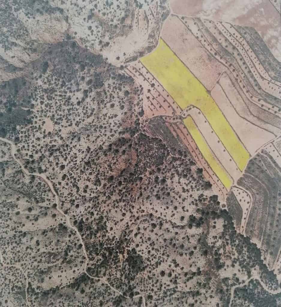 Plot for sale in Pinoso