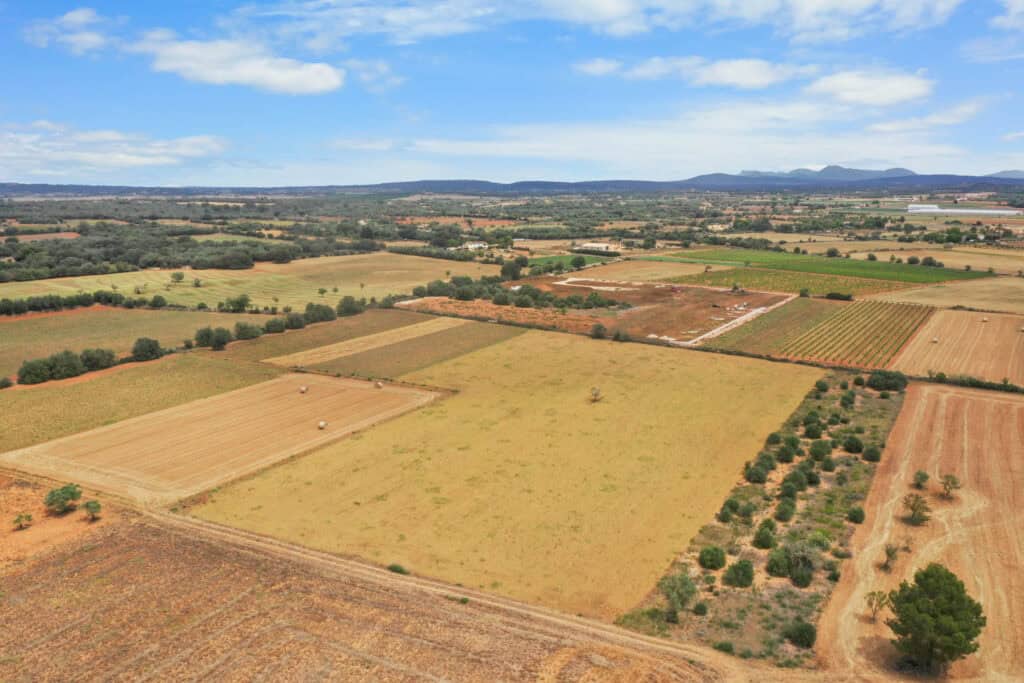 Plot for sale in Felanitx