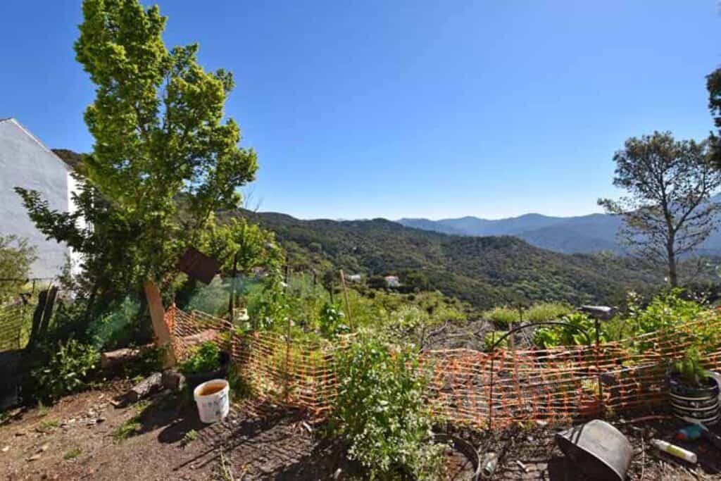 plot for sale in Gaucin