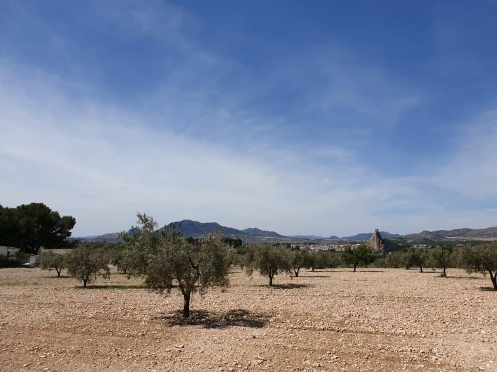 Plot for sale in sax