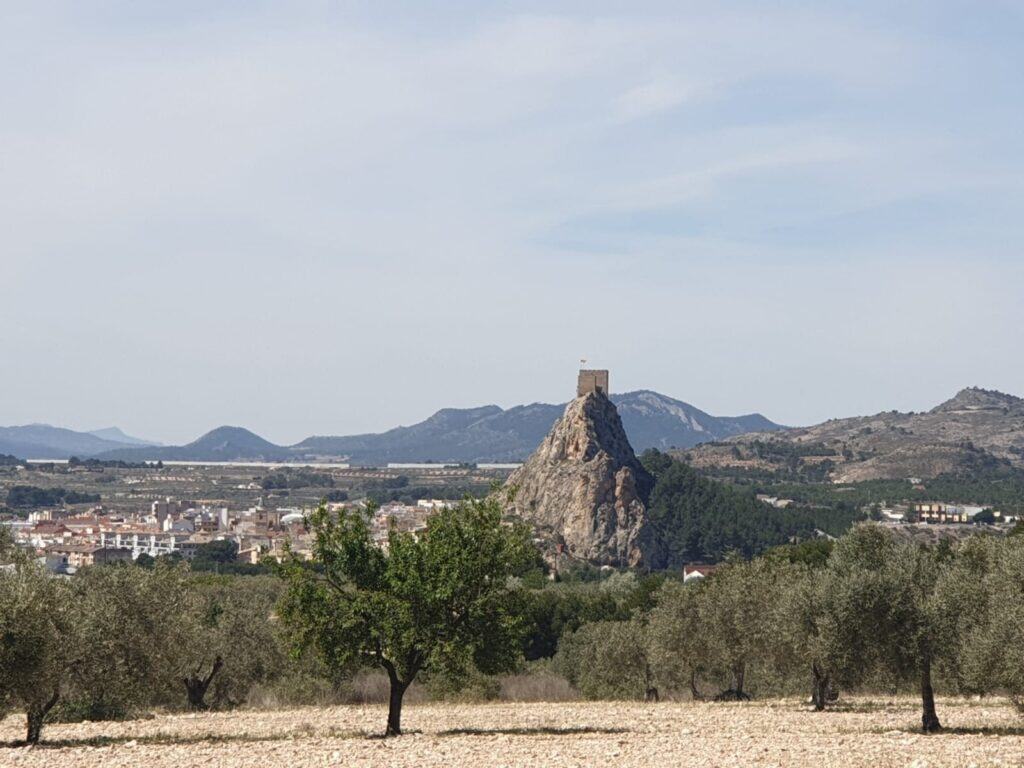 alicante