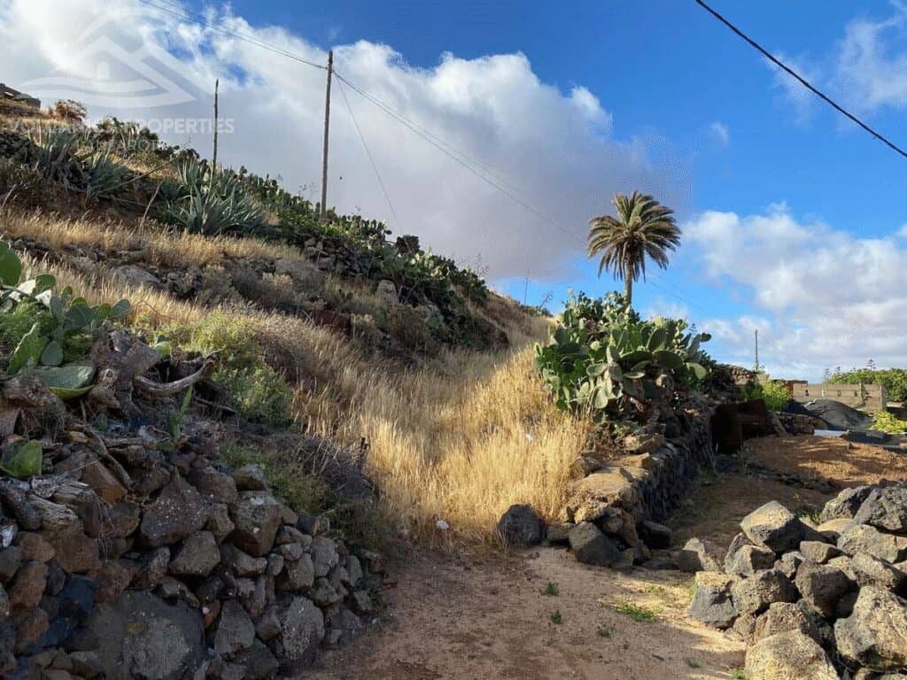  Las Palmas