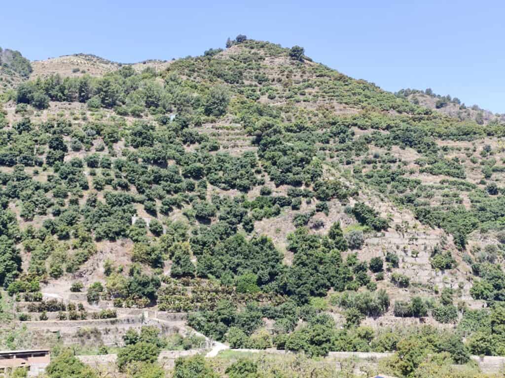 Town House for Sale in Jete