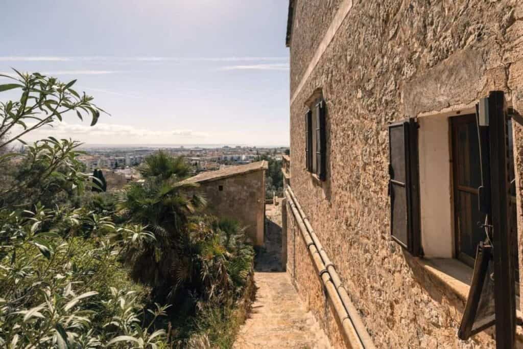  Palma
