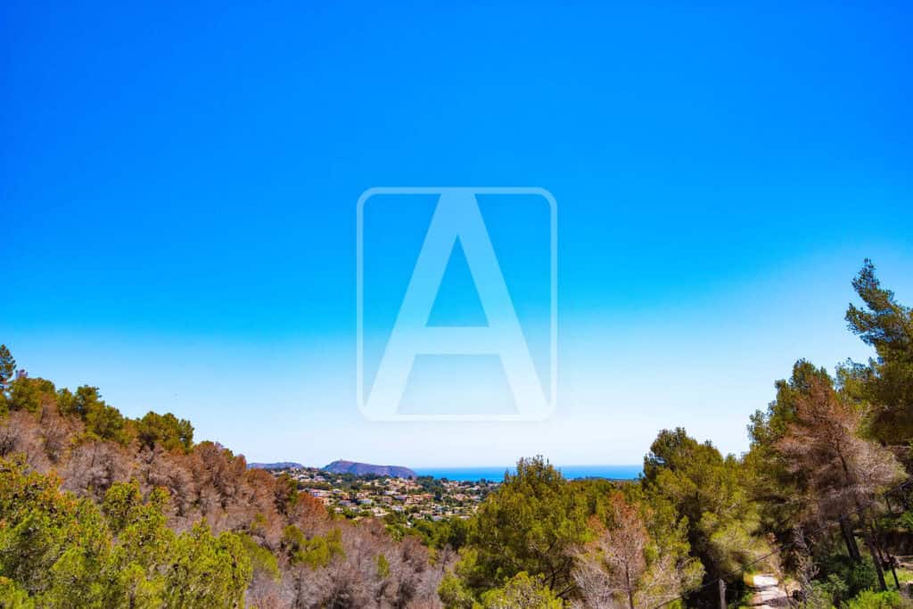  Alicante