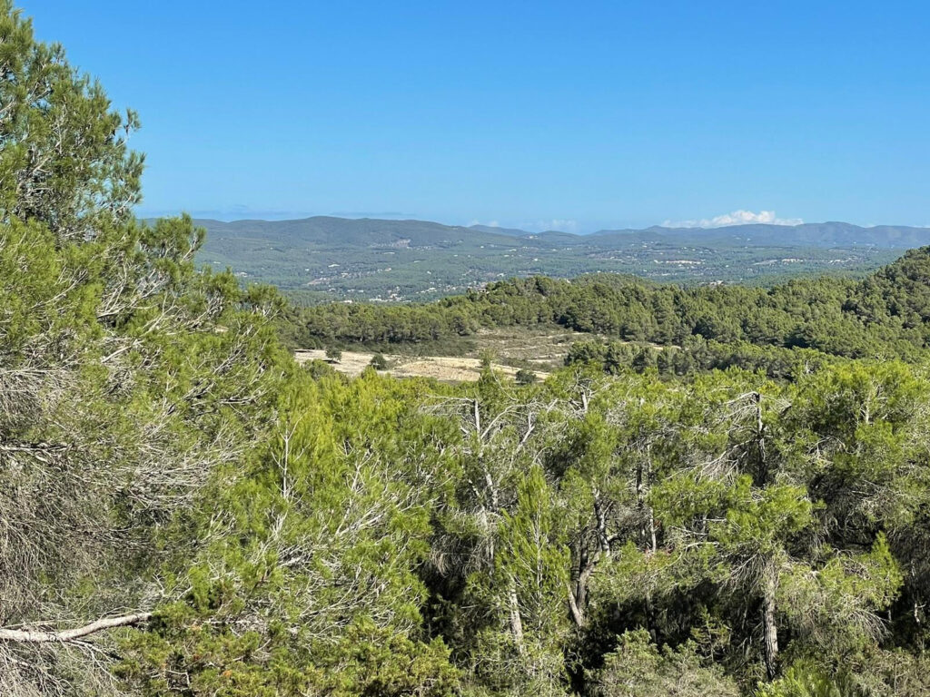  Ibiza