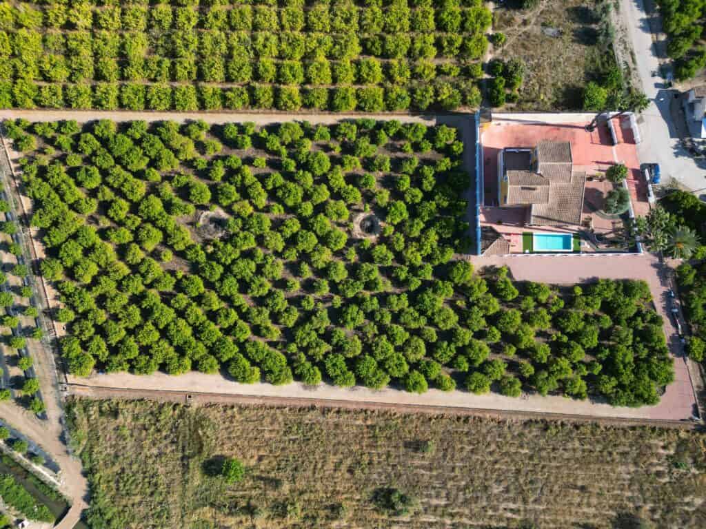 Country House for Sales in Orihuela