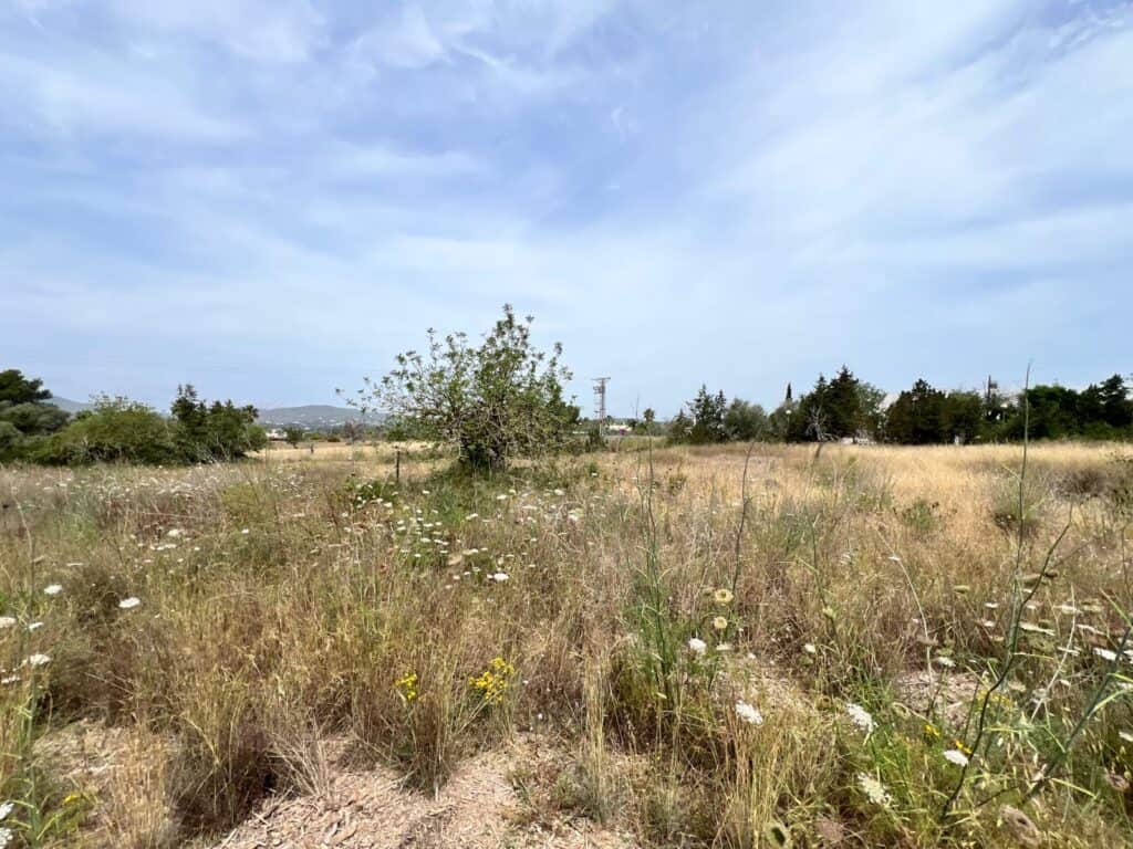 plot for sale in Santa Eulària des Riu