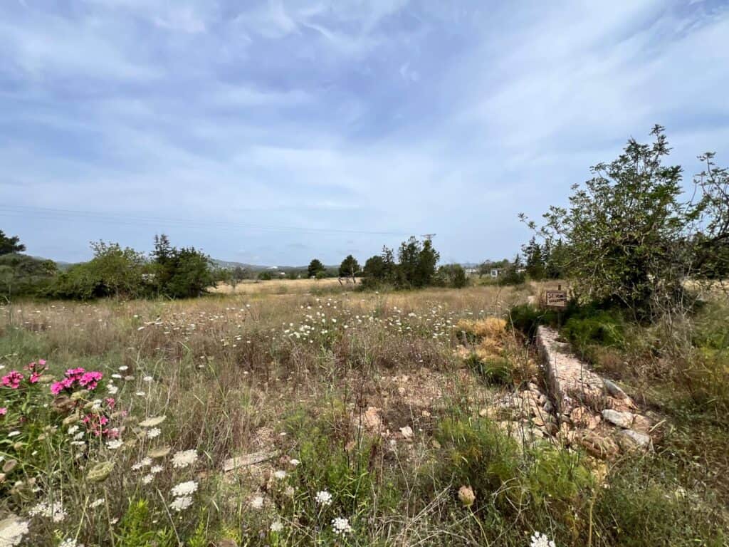  Balearic Islands