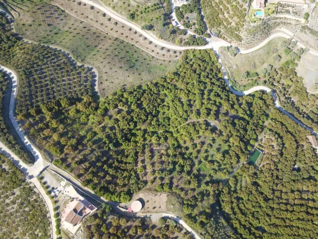  Málaga