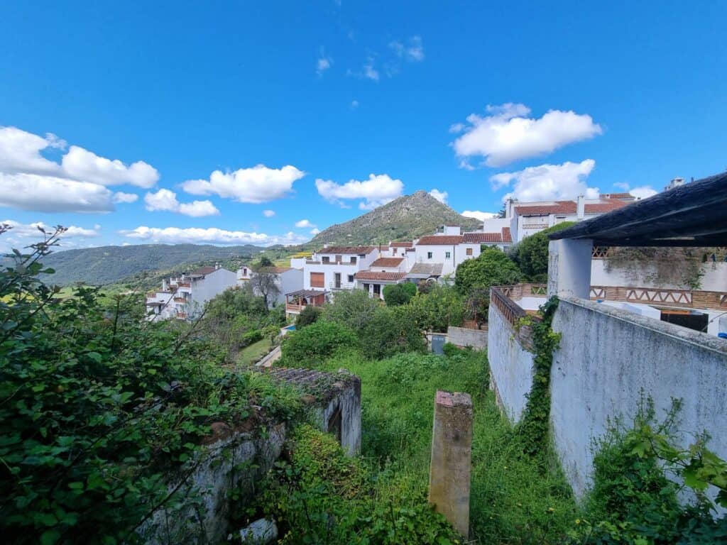  malaga
