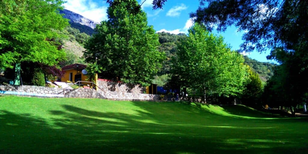 Commercial for sale in Jimera de Libar