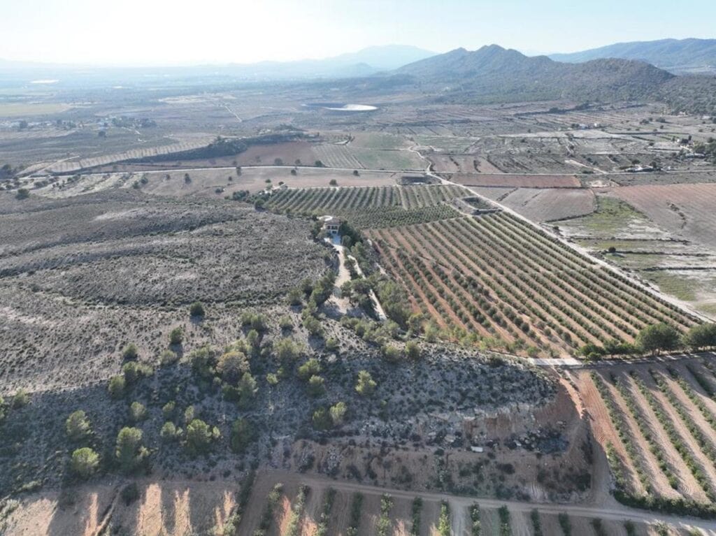  Murcia