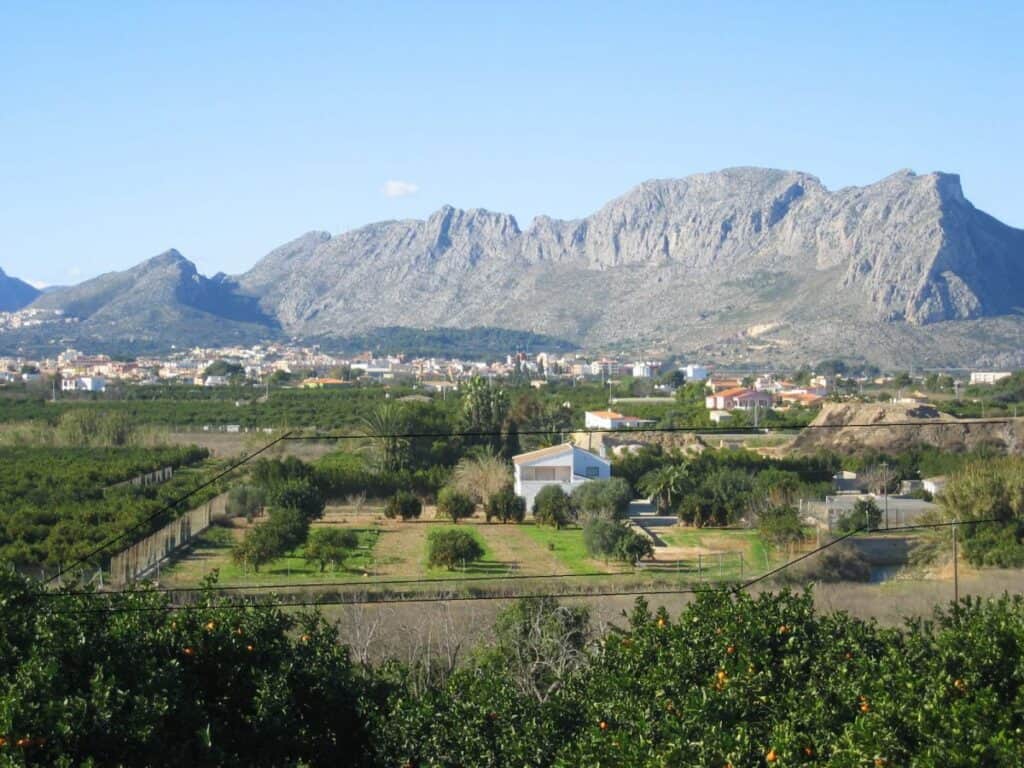  Alicante