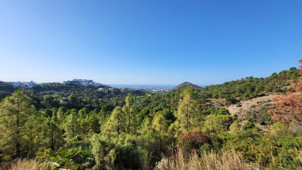  Malaga