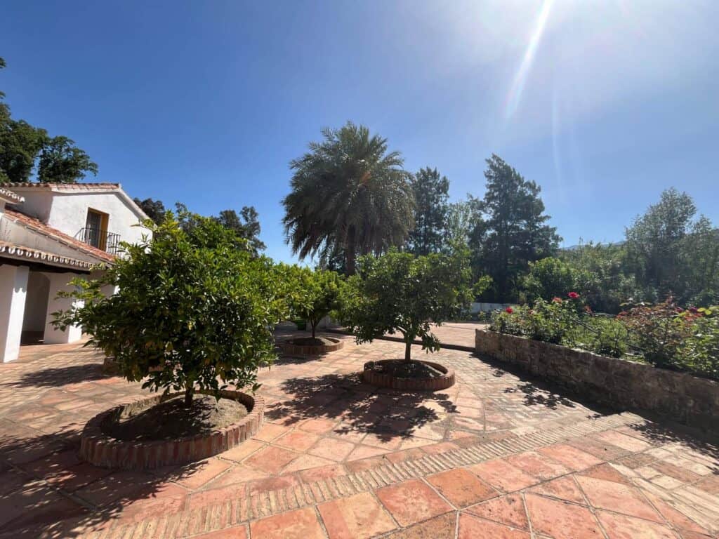  malaga