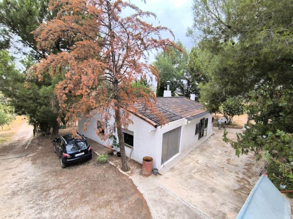 Country House for sale in Villena