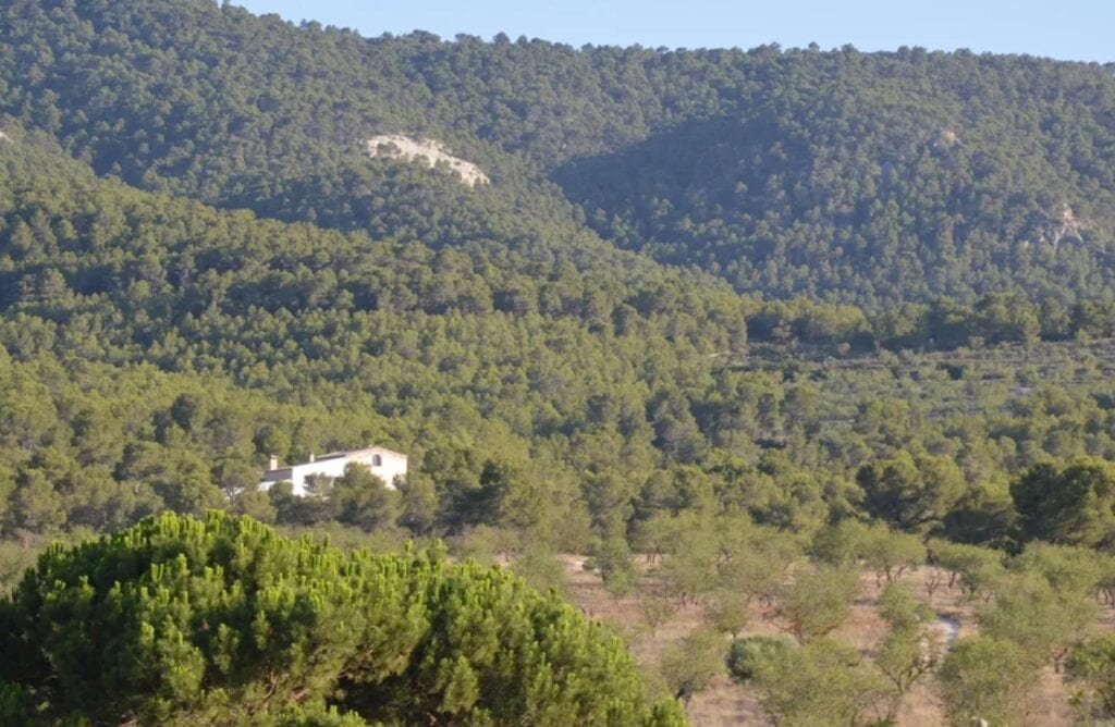 Country House for sale in Villena