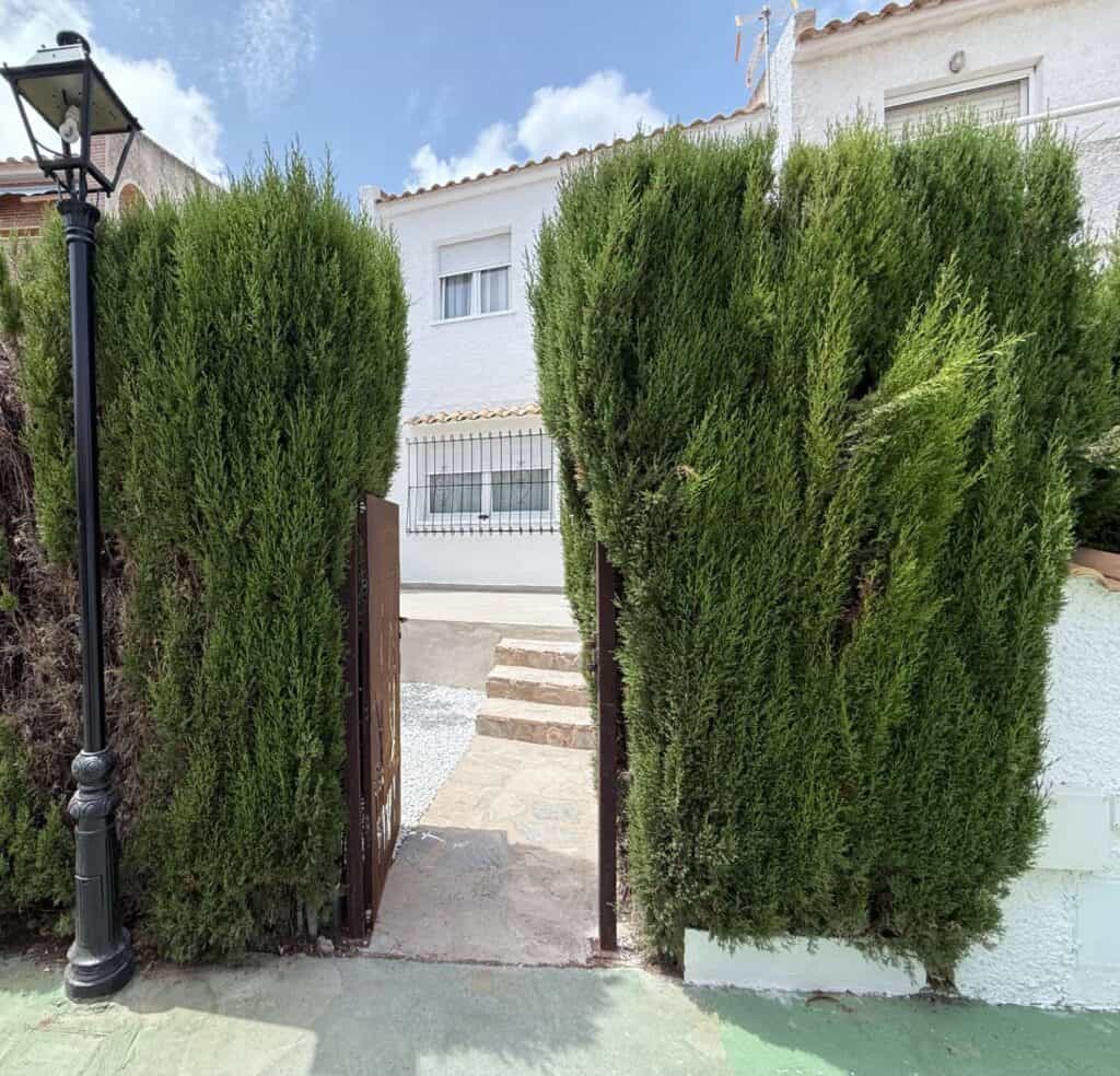  Alicante
