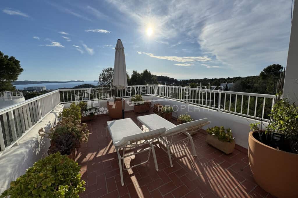  Ibiza